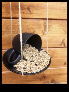 DIY ziemas putnu barotavas: amatniecība spalvu draugiem