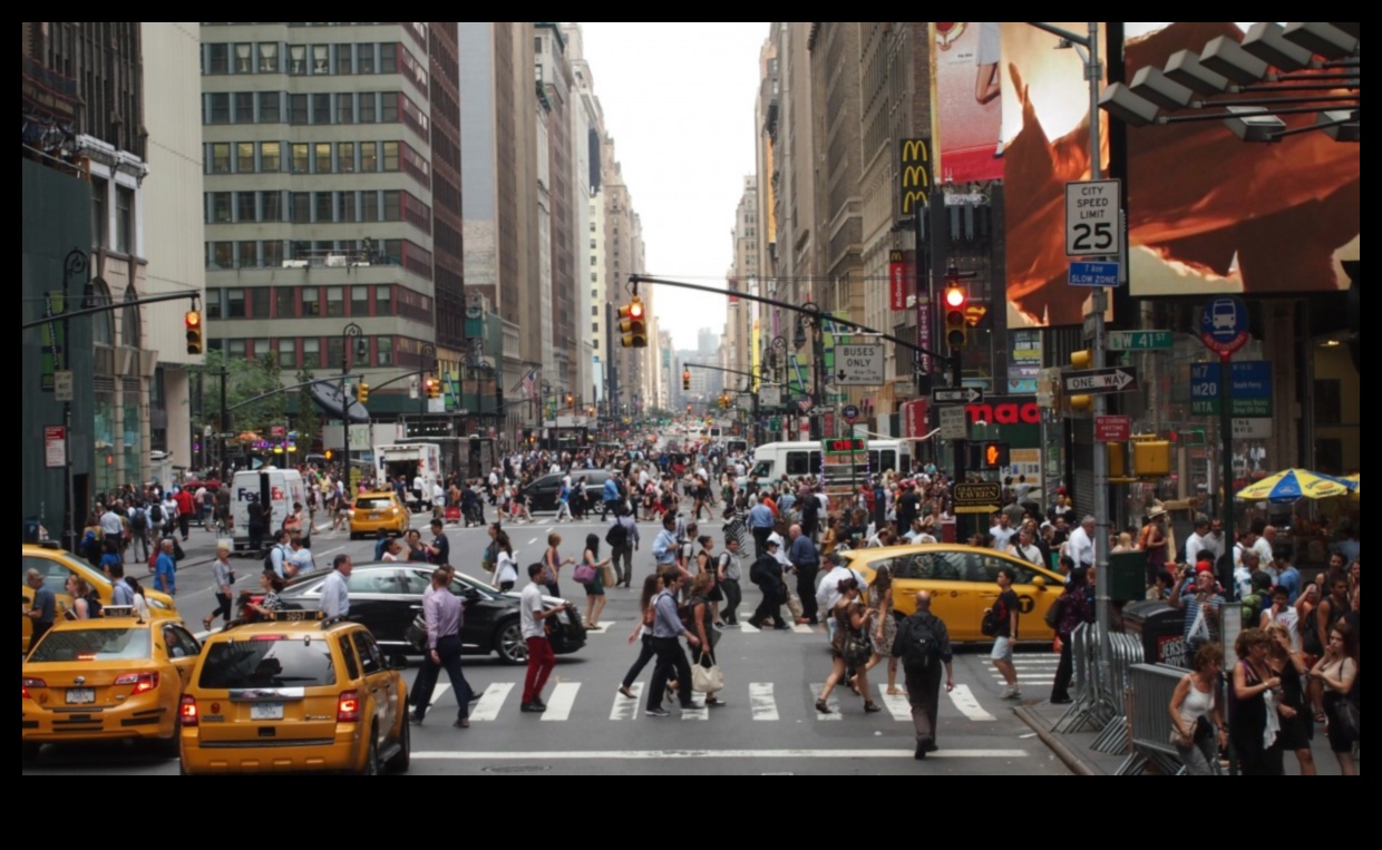 Pilsētas ritmi: dzīves ritmi sabiedriskajā transportā