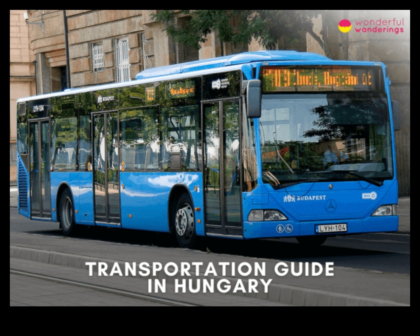 Pilsētas klejotāji: Pilsētas sirdspukstu izpēte sabiedriskajā transportā