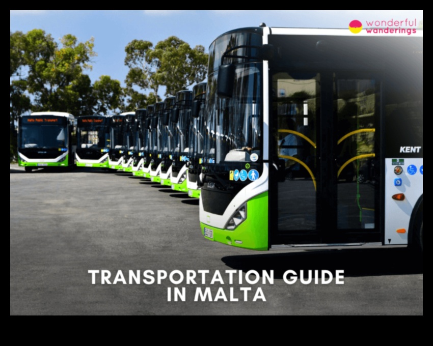 Pilsētas klejotāji: Pilsētas sirdspukstu izpēte sabiedriskajā transportā