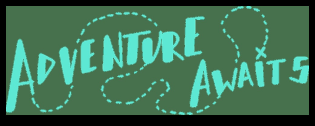 Piedzīvojums gaida: Jetsetter ceļojumu piederumi