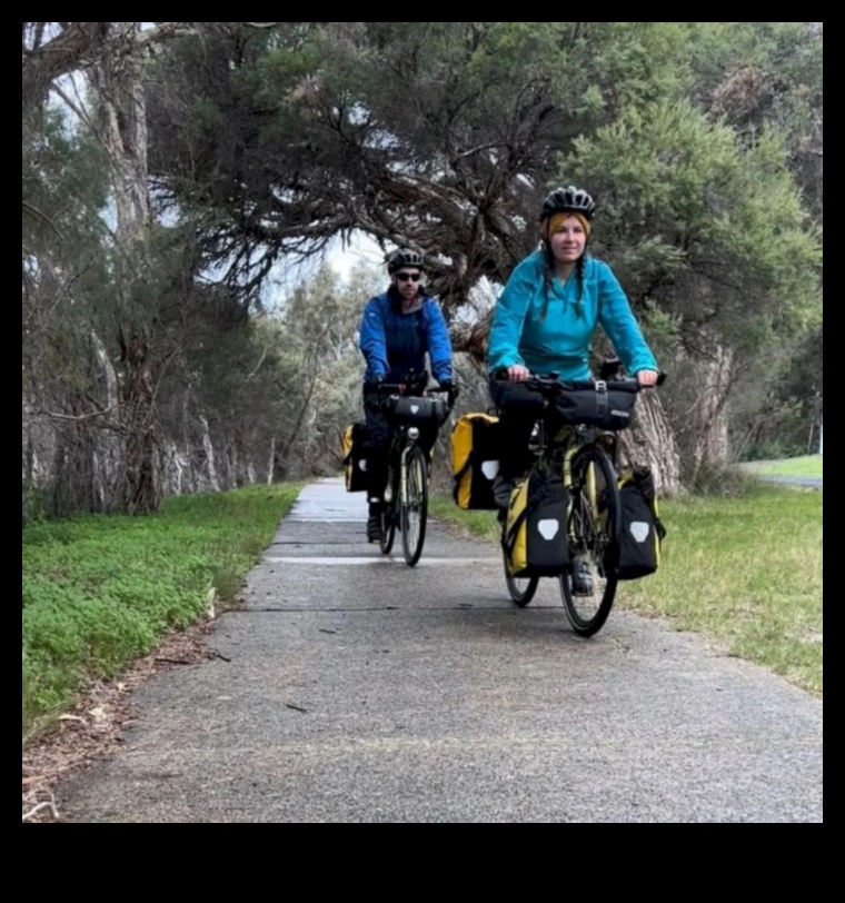 Road Warriors: tūrisma velosipēdu izturības un uzticamības izpēte