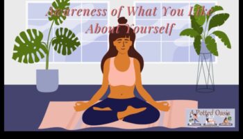 Meditatīvas pārdomas: Ceļojums uz apzinātu dzīvi