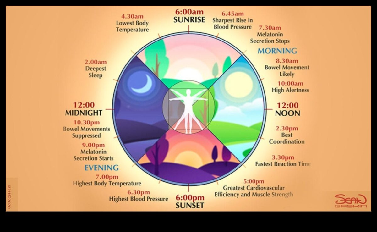 Relaksācijas ritmi: prāta un ķermeņa harmonijas veidošana katru dienu