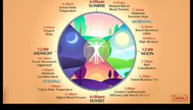 Relaksācijas ritmi: prāta un ķermeņa harmonijas veidošana katru dienu