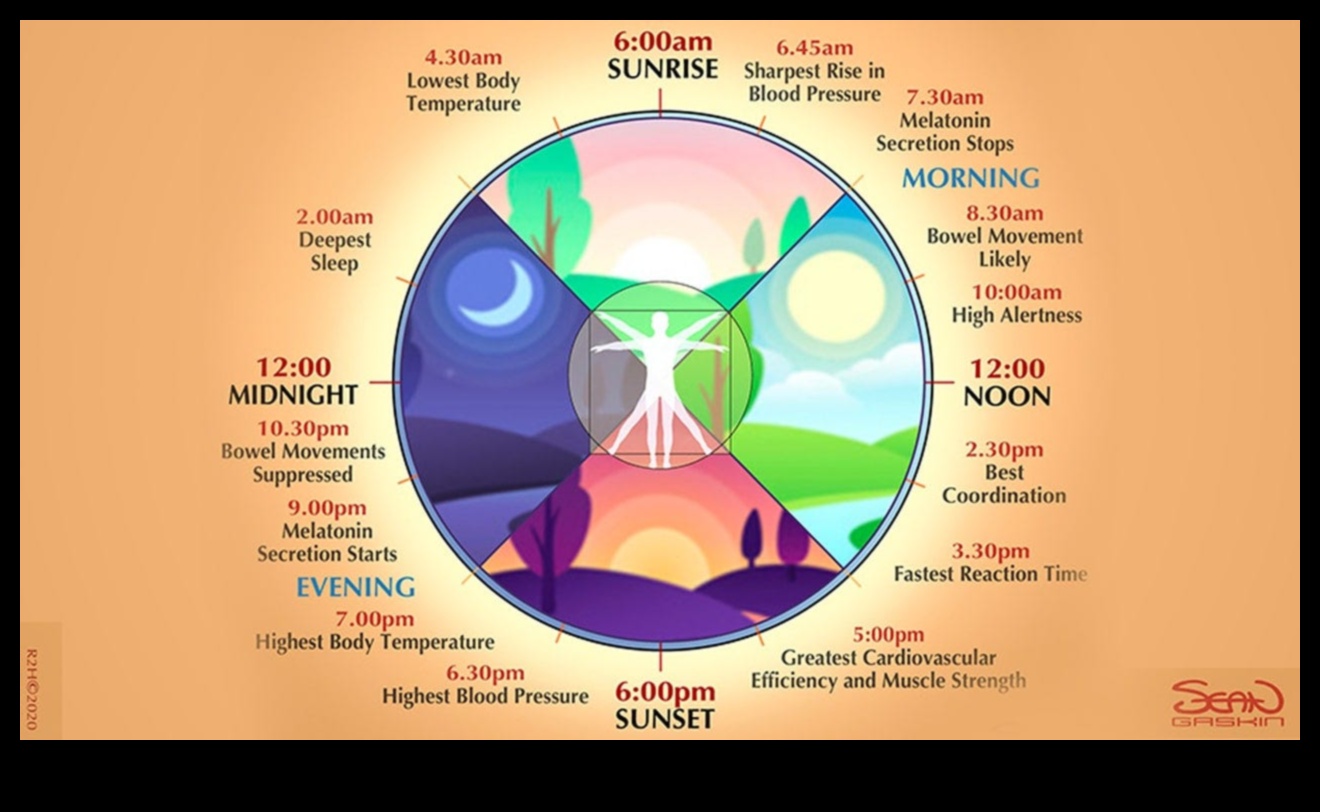Relaksācijas ritmi: prāta un ķermeņa harmonijas veidošana katru dienu