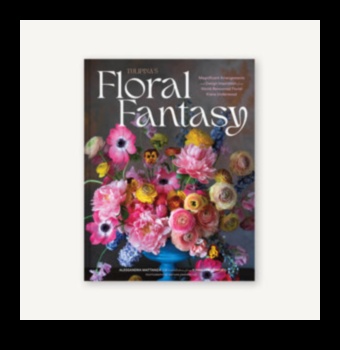 Ziedu fantāzija: Botāniskie dāvanu padomi ziedošai Valentīna dienai